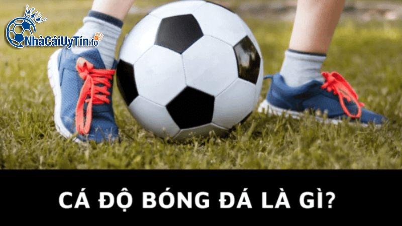 Thế nào là cá độ bóng đá